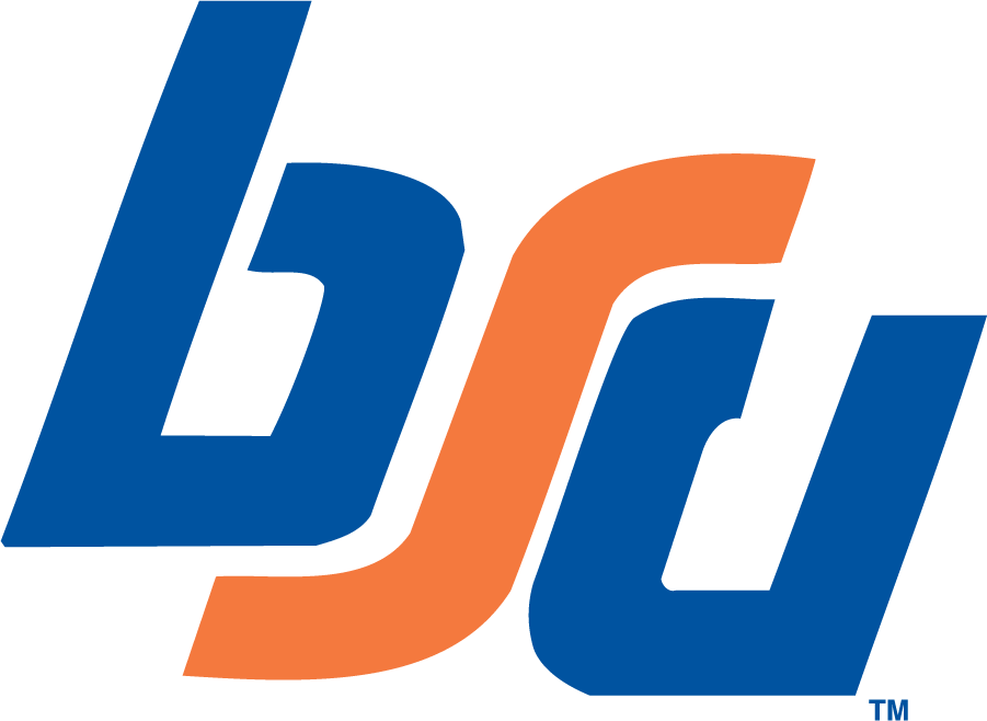 Boise State Broncos 1974-1983 Primary Logo diy DTF decal sticker